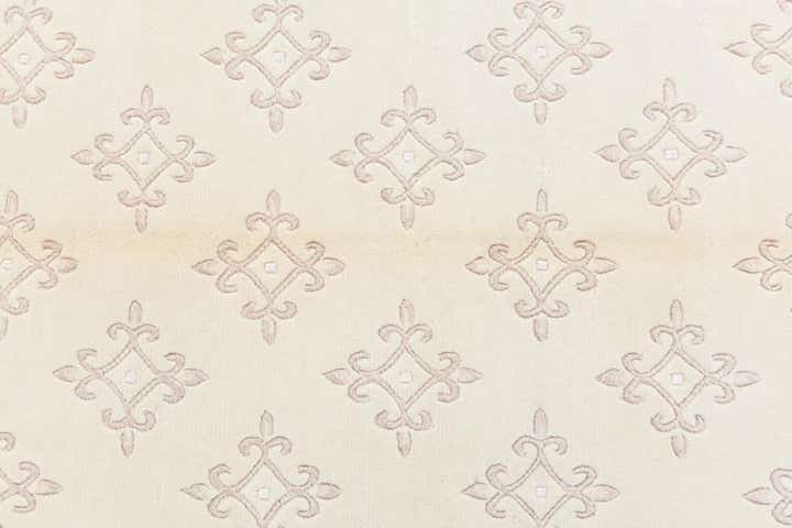 4' 11 x 6' 9 Darya Rug