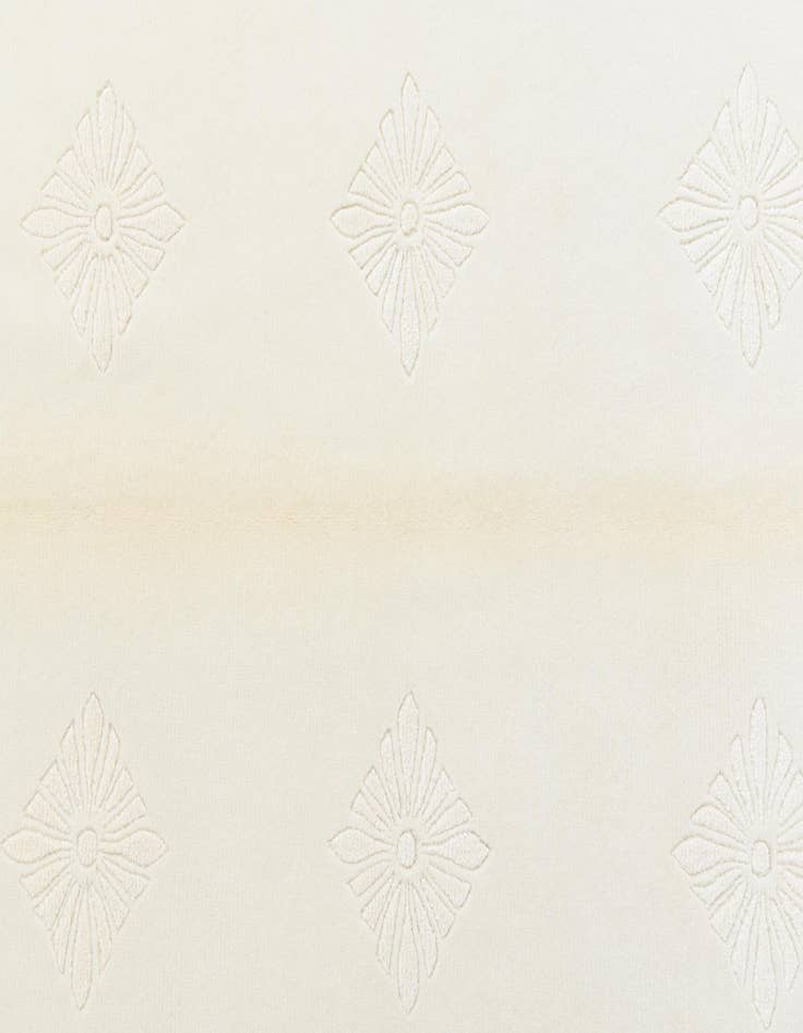 Detail image of 4' 8 x 6' 8  Hand Knotted Darya Wool Rug