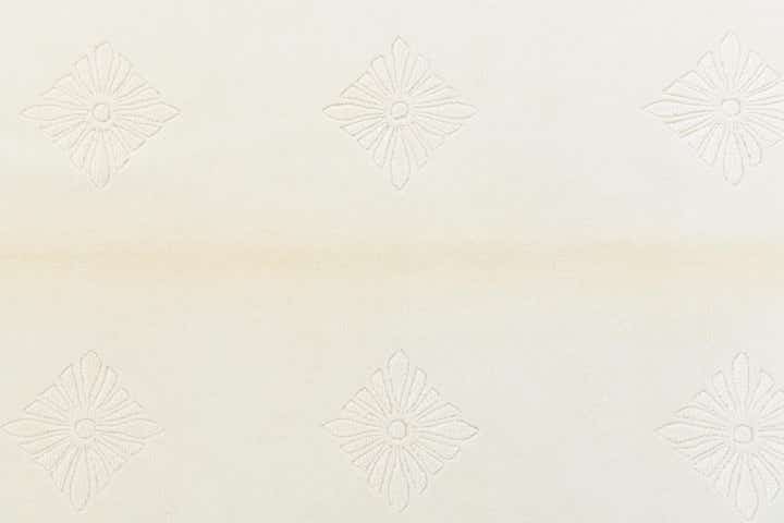 4' 8 x 6' 8 Hand Knotted Darya Wool Rug