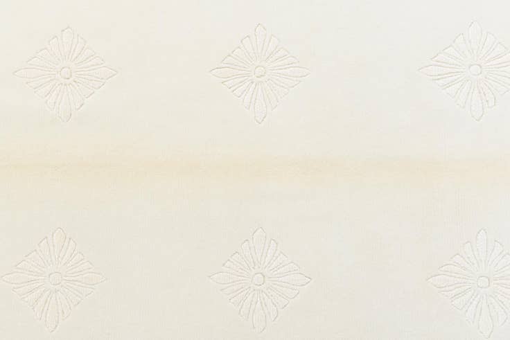 Detail image of 4' 8 x 6' 8 Hand Knotted Darya Wool Rug