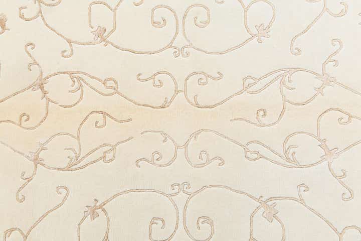 4' 11 x 6' 7 Hand Knotted Darya Wool Rug