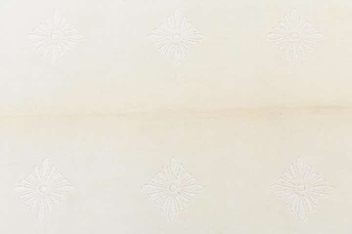 4' 10 x 6' 8 Hand Knotted Darya Wool Rug