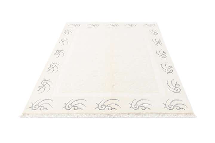 4' 9 x 6' 8 Darya Rug