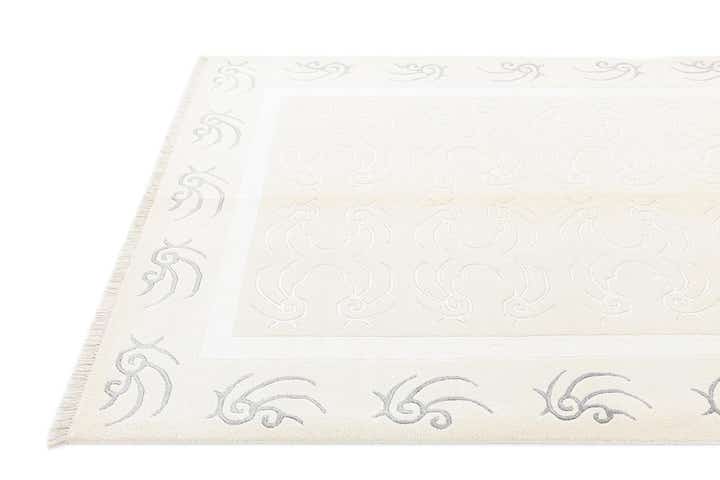 4' 9 x 6' 8 Darya Rug