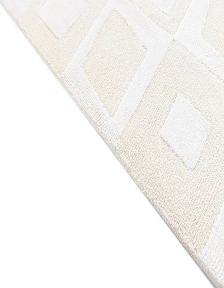 Detail image of 5' 8 x 8' 2 Darya Rug