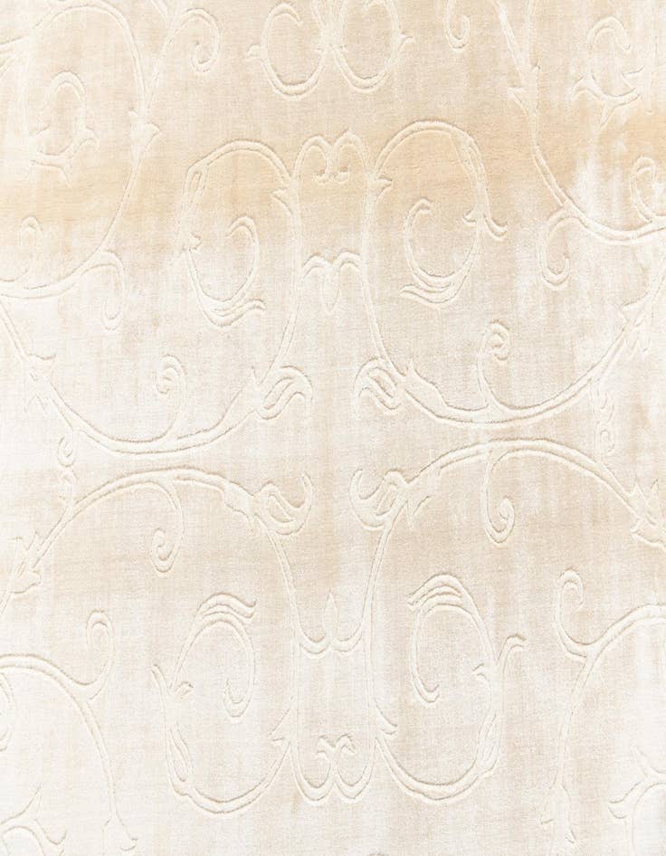 Detail image of 6' 7 x 9' 9  Hand Knotted Darya Rug