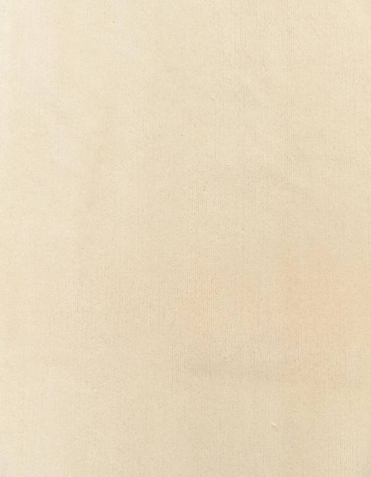 Detail image of 6' 6 x 9' 7  Hand Knotted Darya Wool Rug