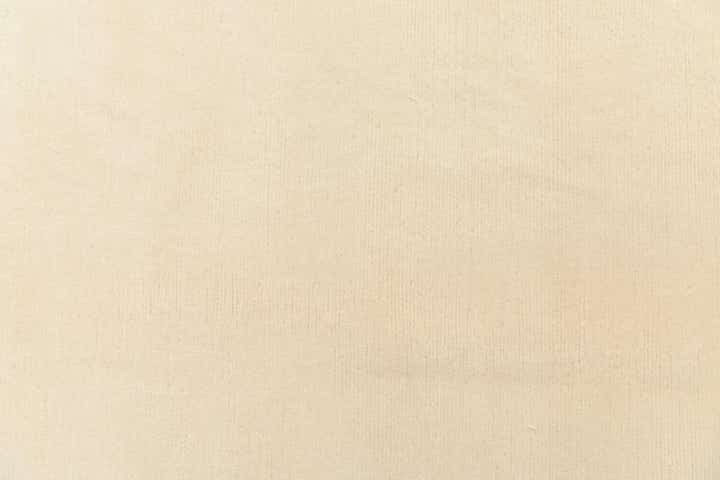 6' 6 x 9' 7 Hand Knotted Darya Wool Rug