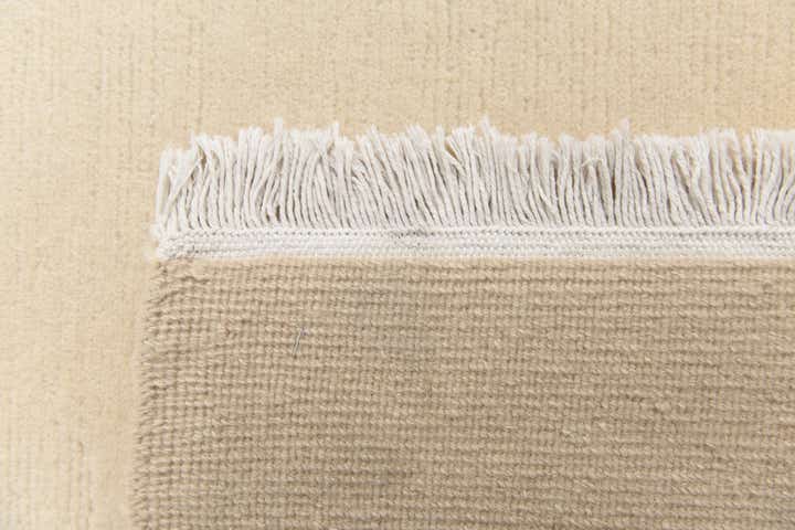 6' 6 x 9' 7 Hand Knotted Darya Wool Rug