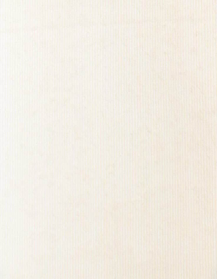 Detail image of 6' 7 x 9' 10  Hand Knotted Darya Rug