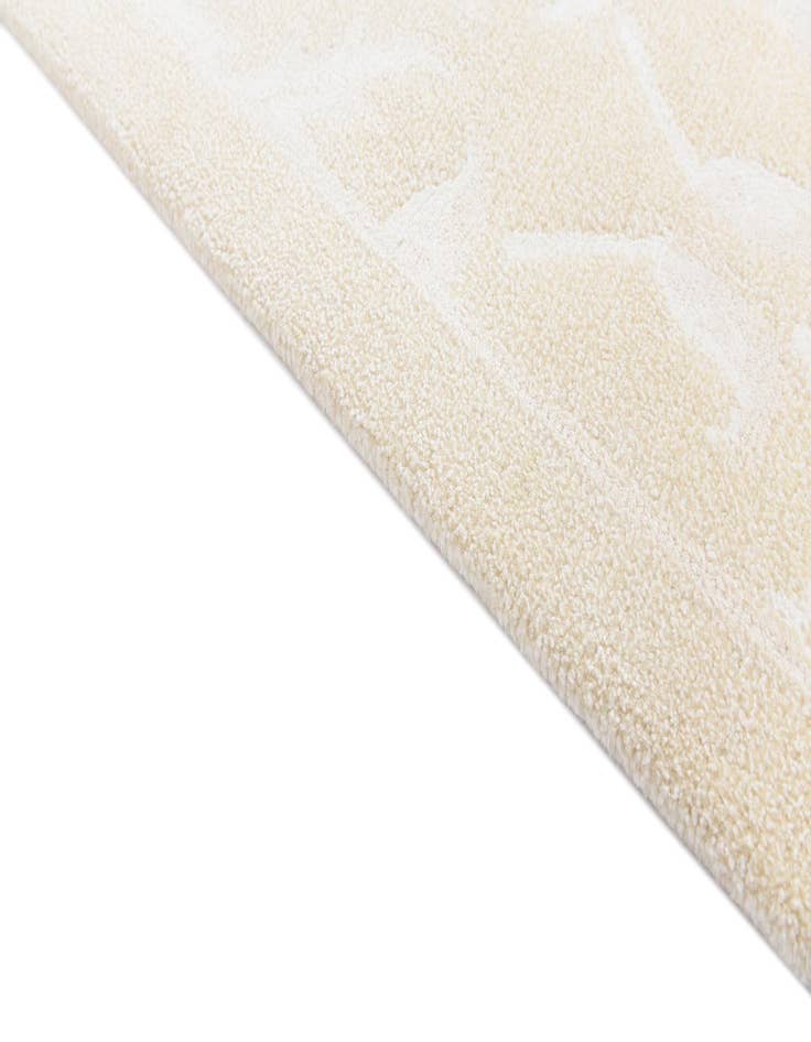 Detail image of 6' 9 x 10' 1  Hand Knotted Darya Wool Rug