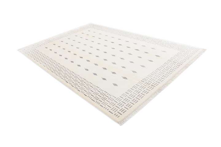 6' 7 x 9' 10 Hand Knotted Darya Wool Rug