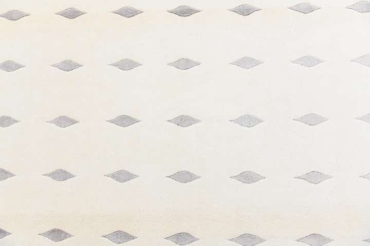 6' 7 x 9' 10 Hand Knotted Darya Wool Rug