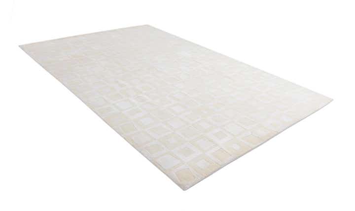 6' 7 x 10' 2 Hand Knotted Darya Wool Rug