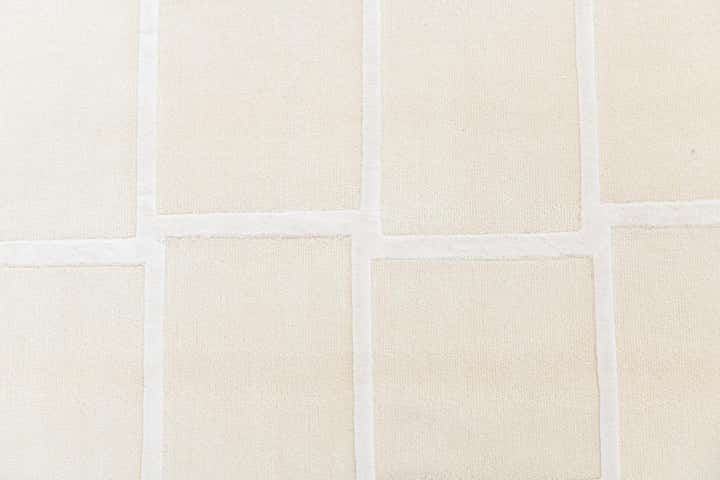 6' 8 x 10' Hand Knotted Darya Wool Rug