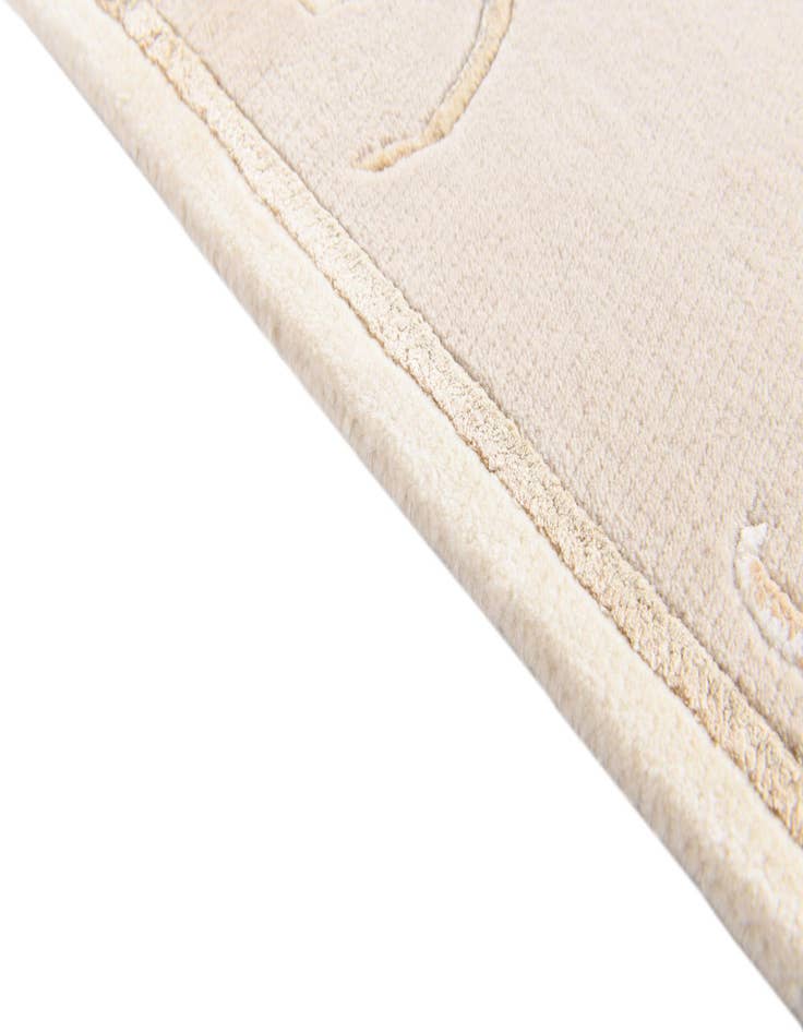 Detail image of 2' 9 x 4' 11  Hand Knotted Darya Wool Rug