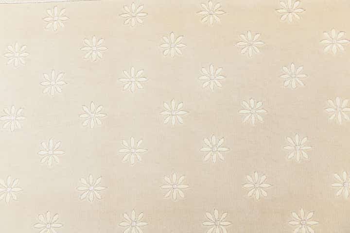 5' 7 x 7' 10 Hand Knotted Darya Rug