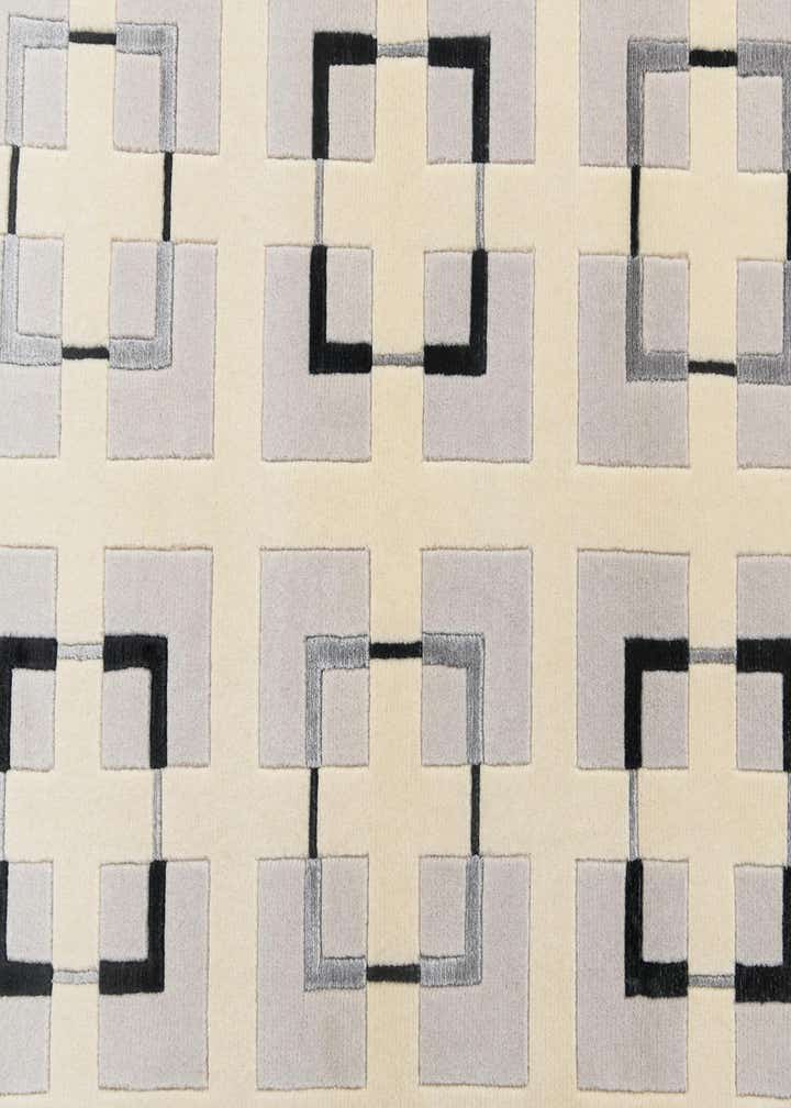 2' 11 x 5' Hand Knotted Darya Rug