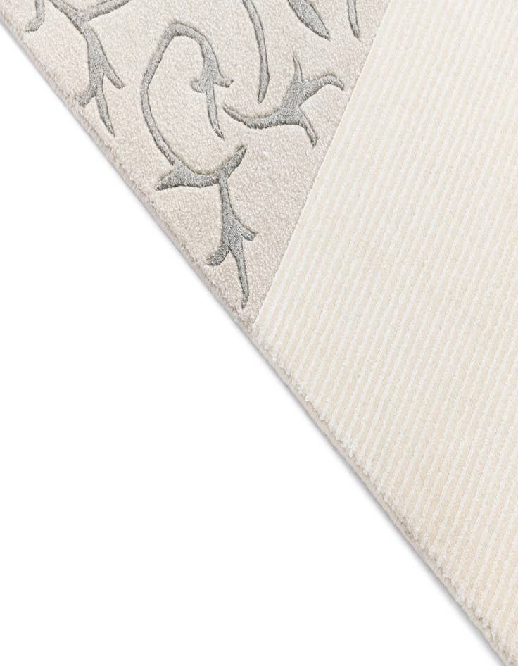 Detail image of 5' 7 x 7' 11 Darya Rug