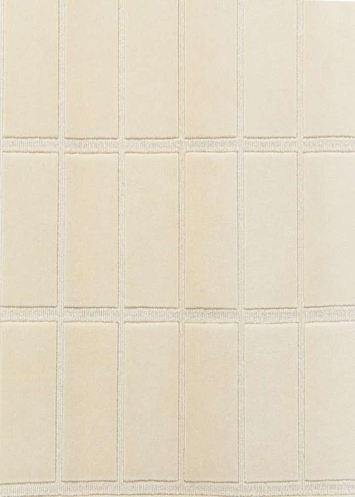 3' x 4' 11 Hand Knotted Darya Wool Rug