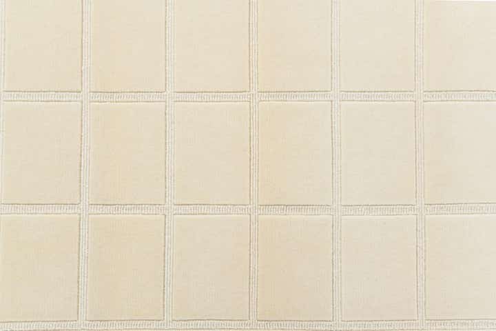 3' x 4' 11 Hand Knotted Darya Wool Rug