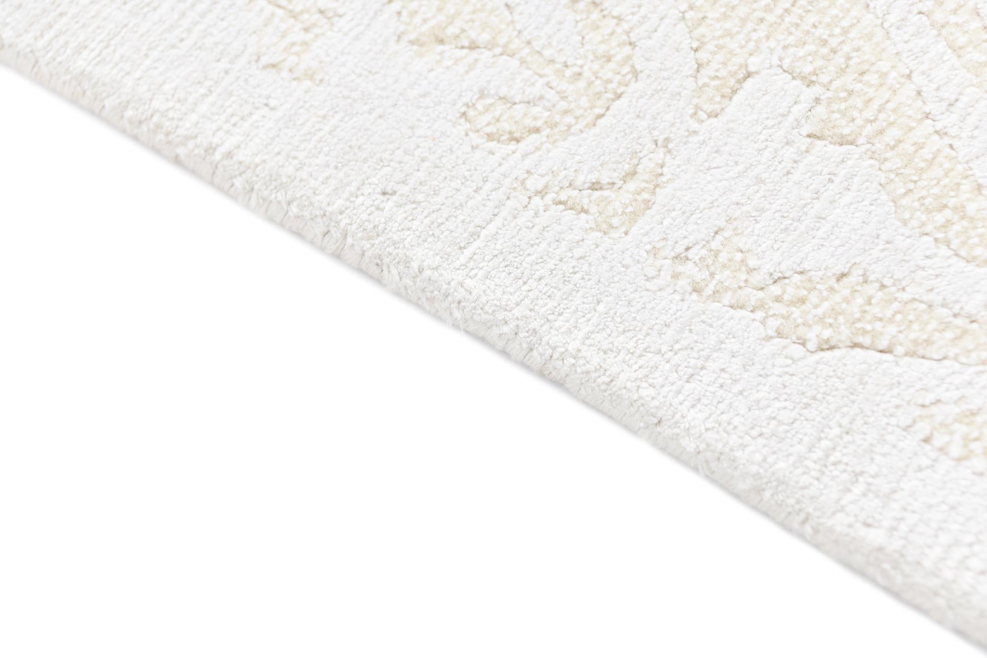 3' 11 x 6' 1 Darya Rug
