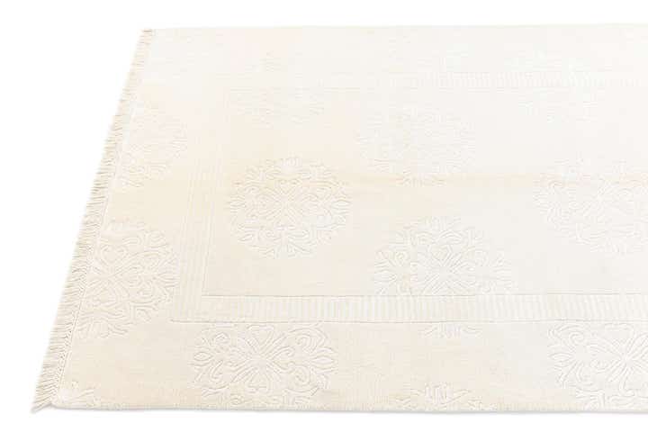 4' x 5' 11 Darya Rug