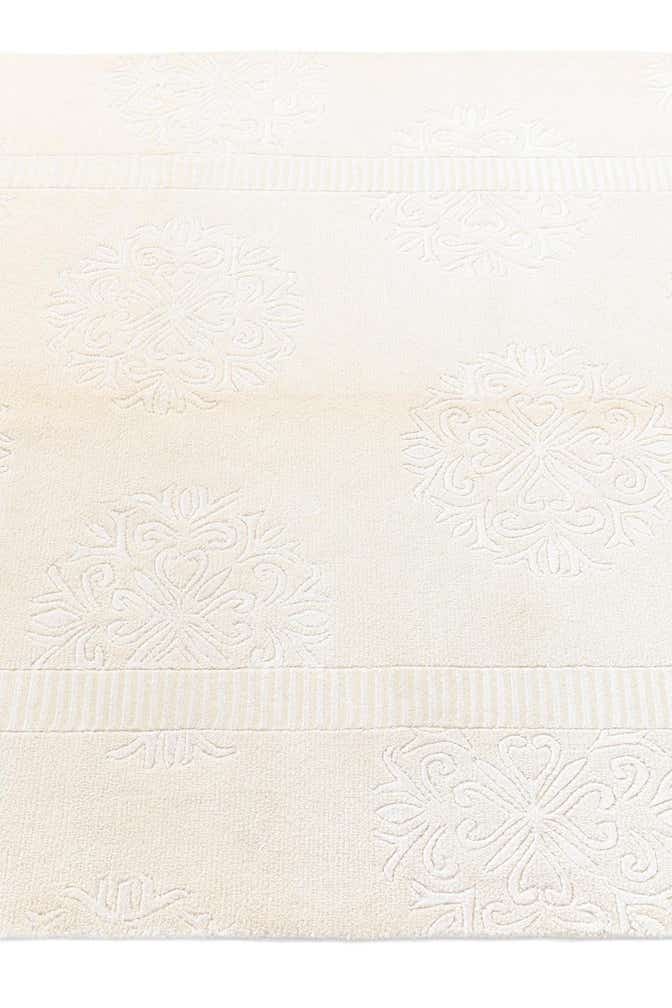 4' x 5' 11 Darya Rug