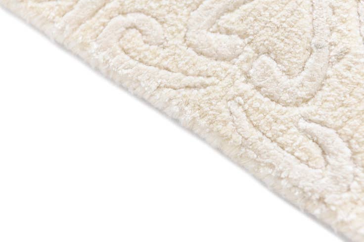 Detail image of 4' x 5' 11 Darya Rug