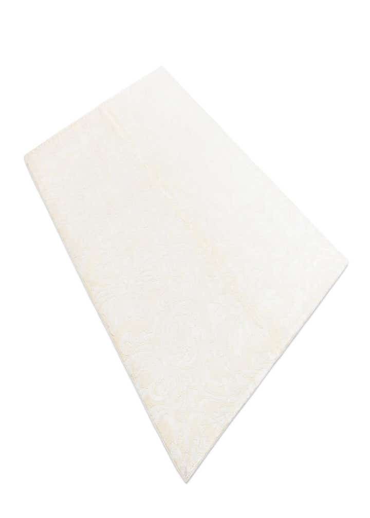 3' 11 x 5' 11 Darya Rug