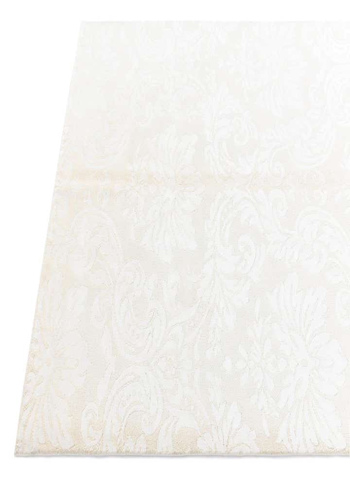 3' 11 x 5' 11 Darya Rug