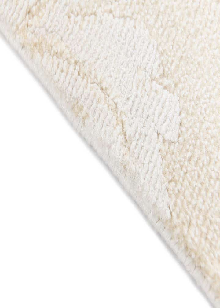 3' 11 x 5' 11 Darya Rug