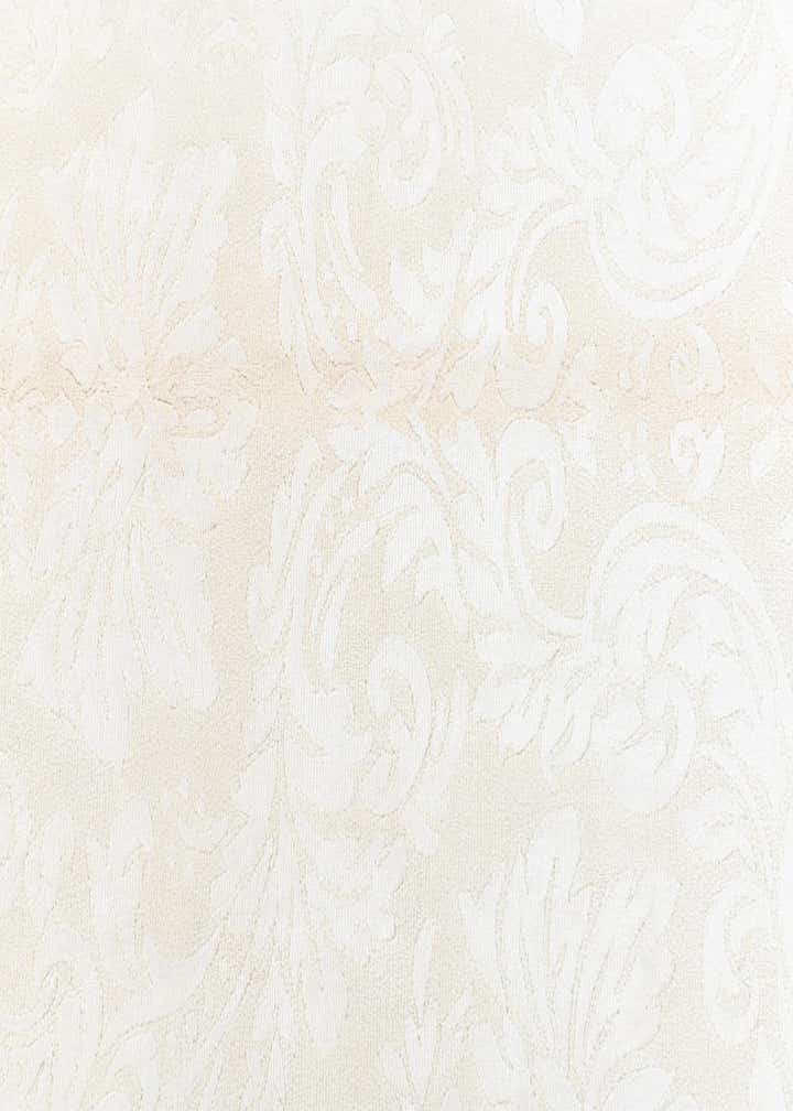 3' 11 x 5' 11 Darya Rug