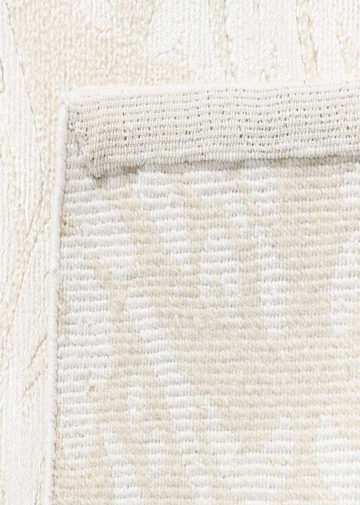 3' 11 x 5' 11 Darya Rug