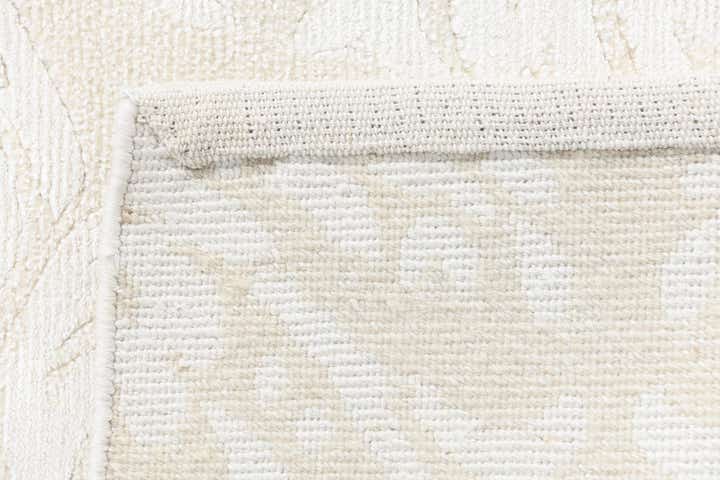 3' 11 x 5' 11 Darya Rug