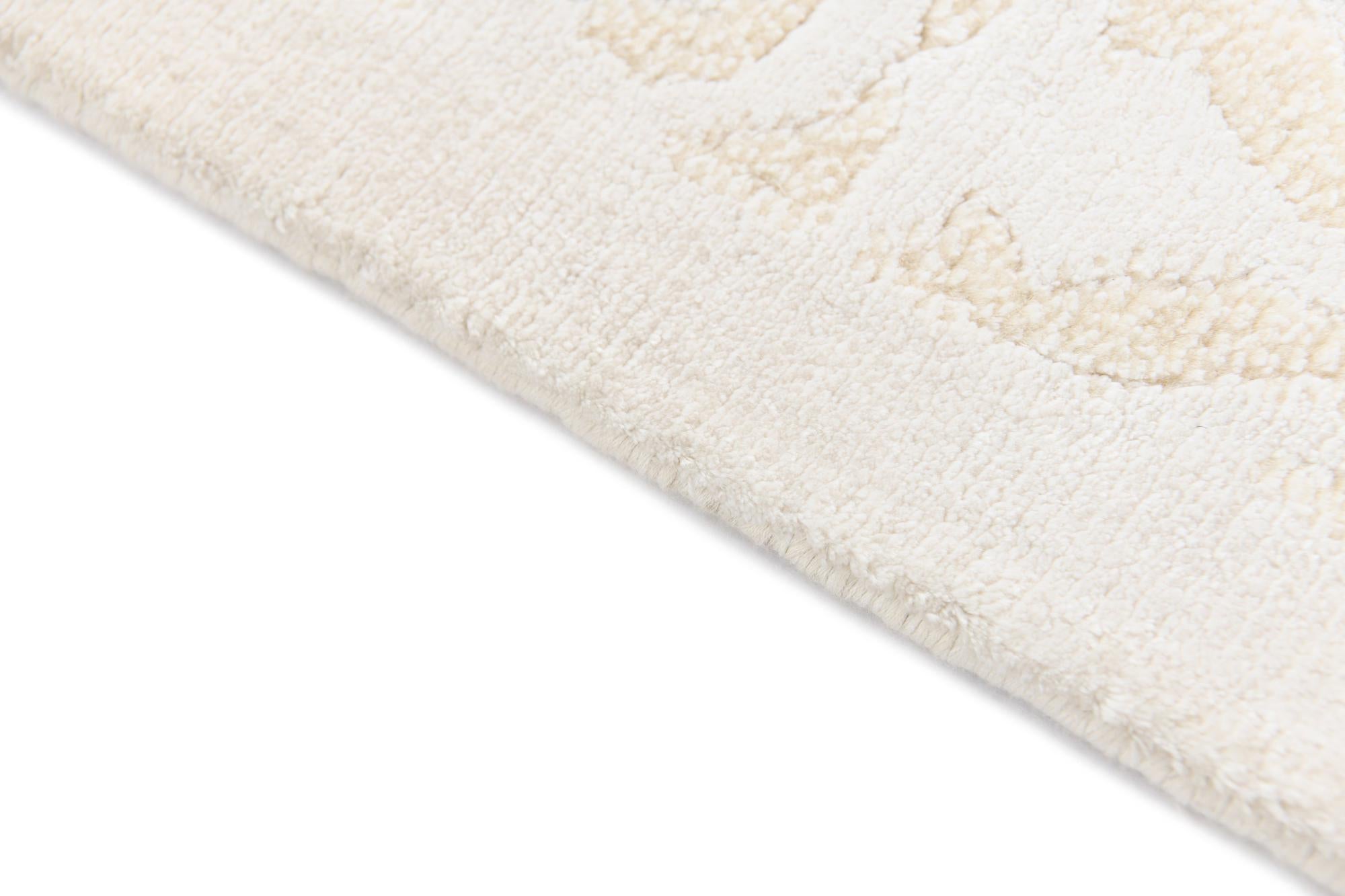 3' 11 x 6' 1 Darya Rug