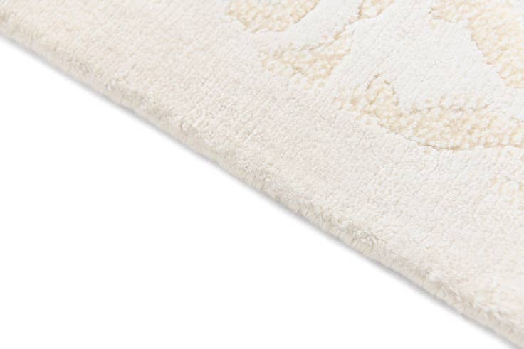 Detail image of 3' 11 x 6' 1 Darya Rug