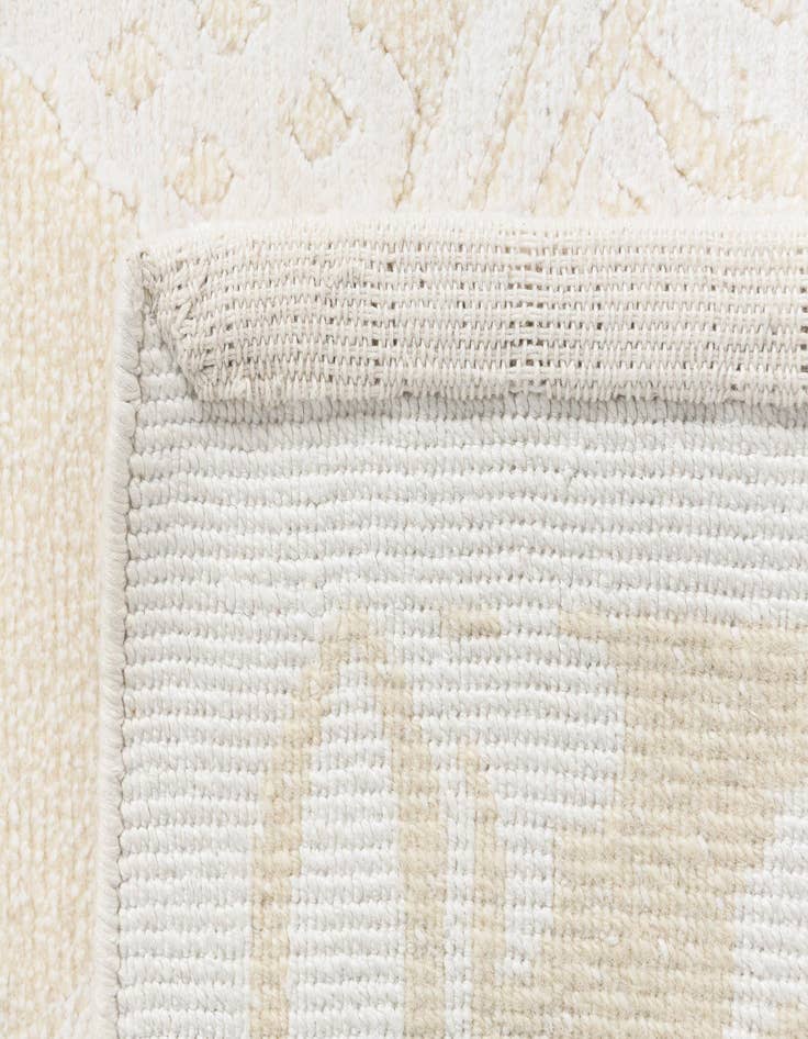 Detail image of 3' 11 x 6' 1 Darya Rug