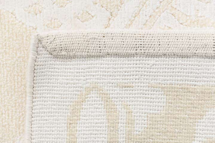 3' 11 x 6' 1 Darya Rug