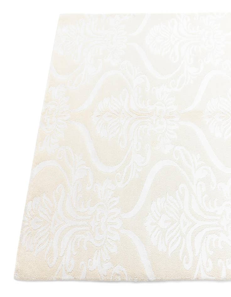 Detail image of 3' 11 x 5' 9 Darya Rug