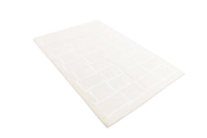 3' 11 x 5' 11 Darya Rug