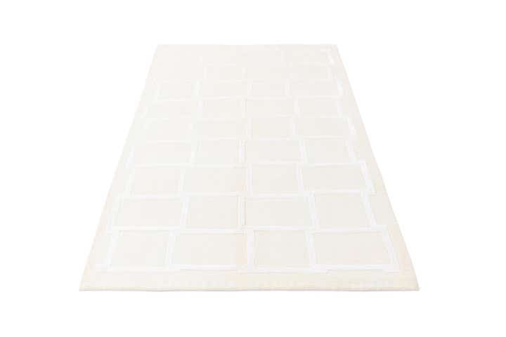 3' 11 x 5' 11 Darya Rug