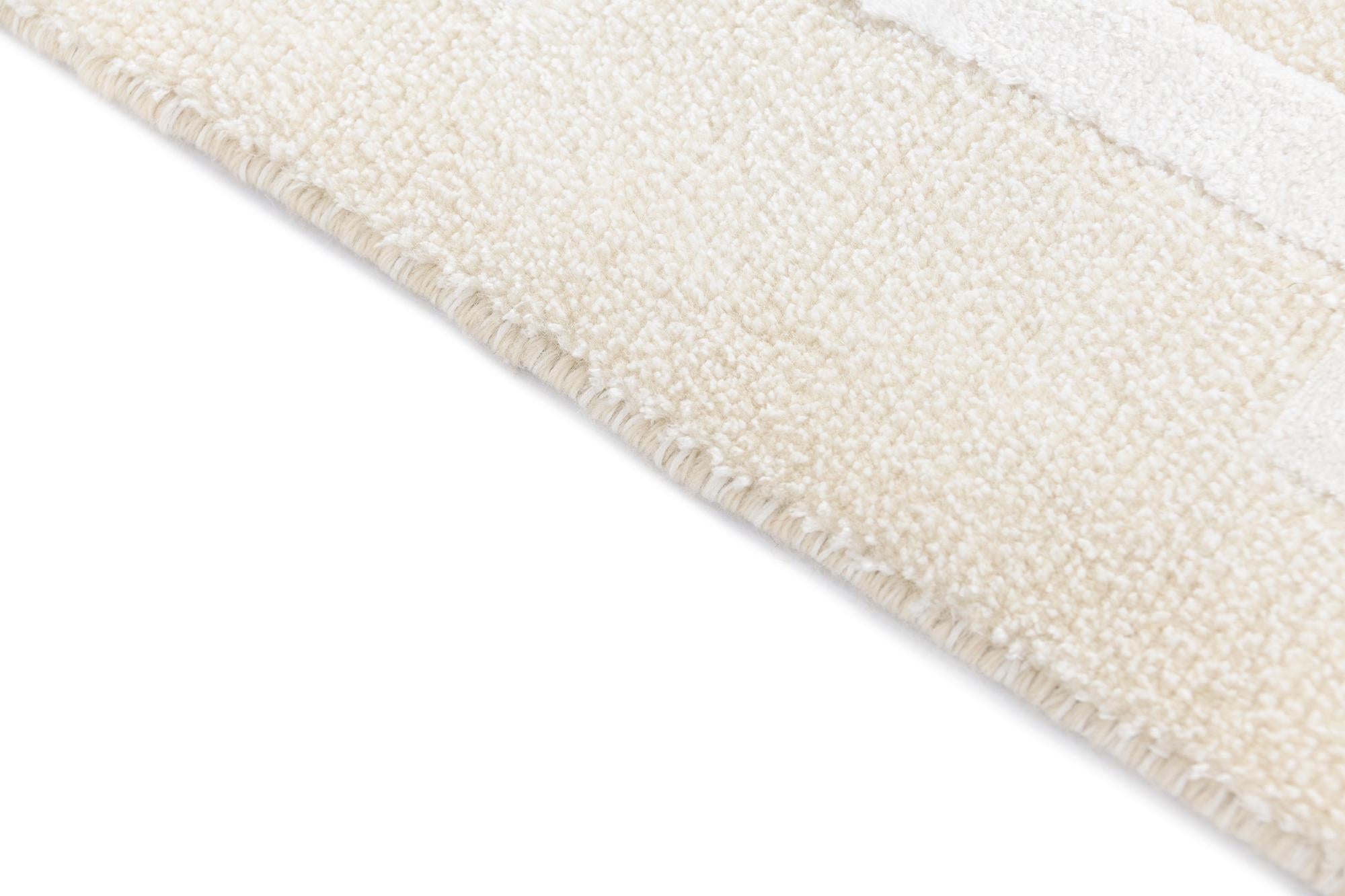 3' 11 x 5' 11 Darya Rug