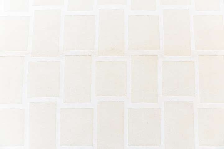 3' 11 x 5' 11 Darya Rug