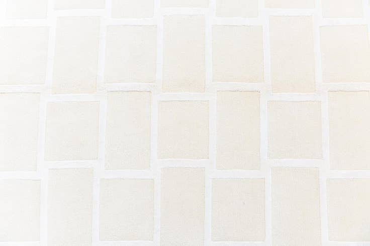 Detail image of 3' 11 x 5' 11 Darya Rug