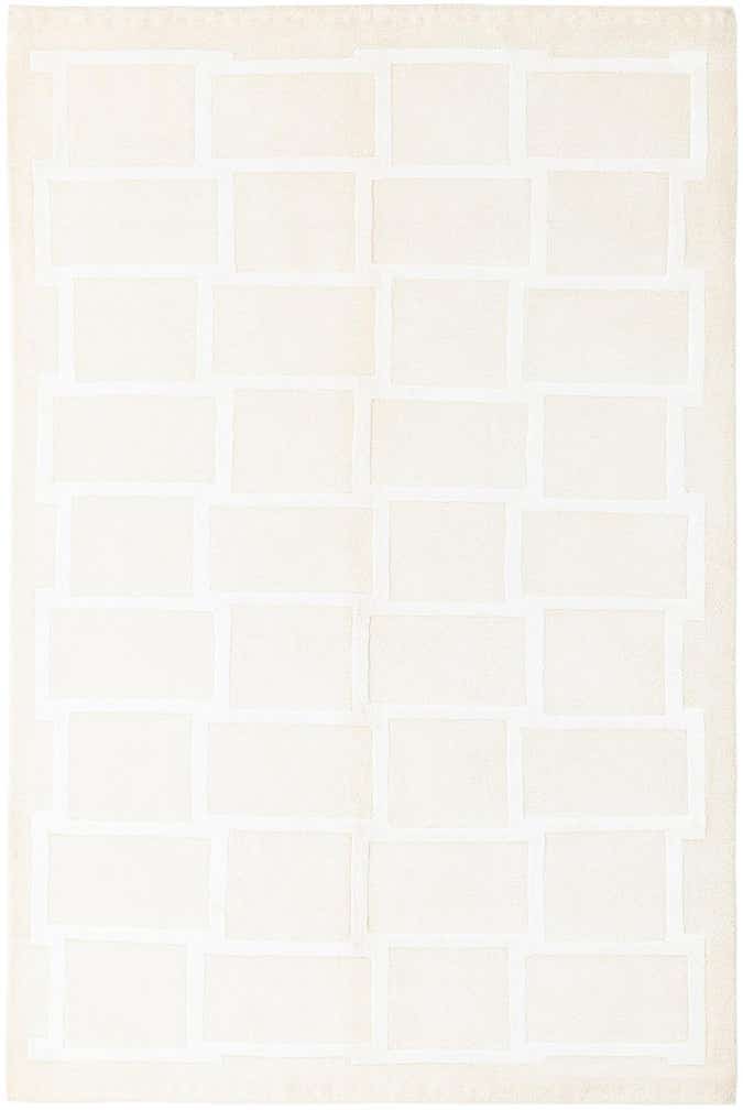 3' 11 x 5' 11 Darya Rug