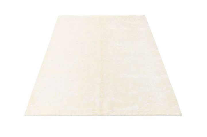 4' 2 x 6' 1 Darya Rug