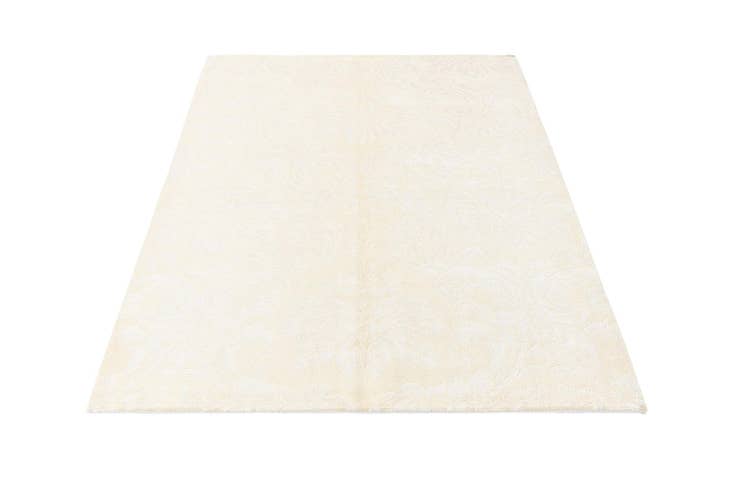 Detail image of 4' 2 x 6' 1 Darya Rug