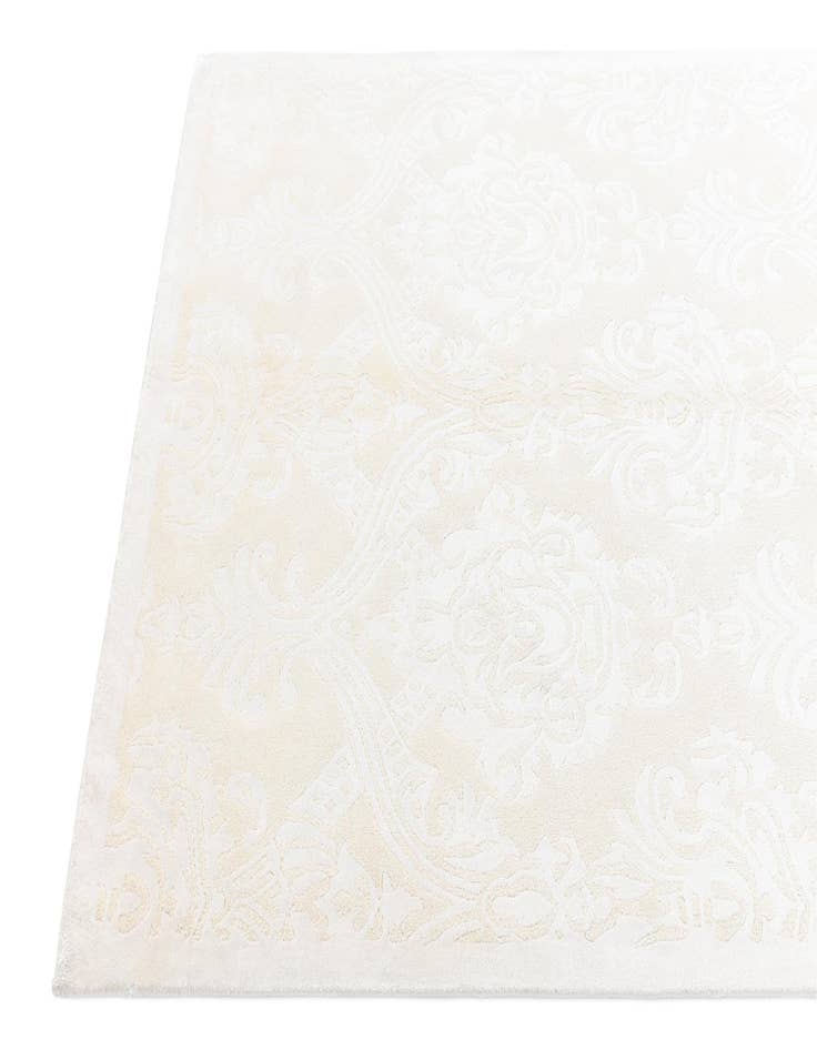 Detail image of 3' 11 x 6' 1 Darya Rug