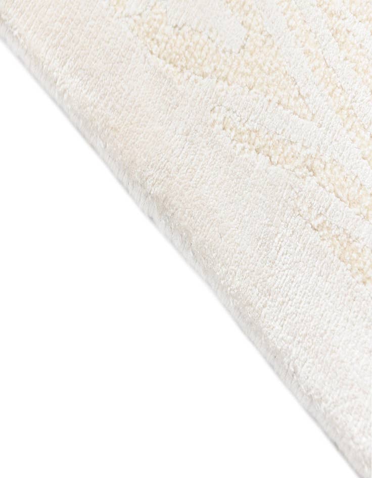 Detail image of 3' 11 x 6' 1 Darya Rug